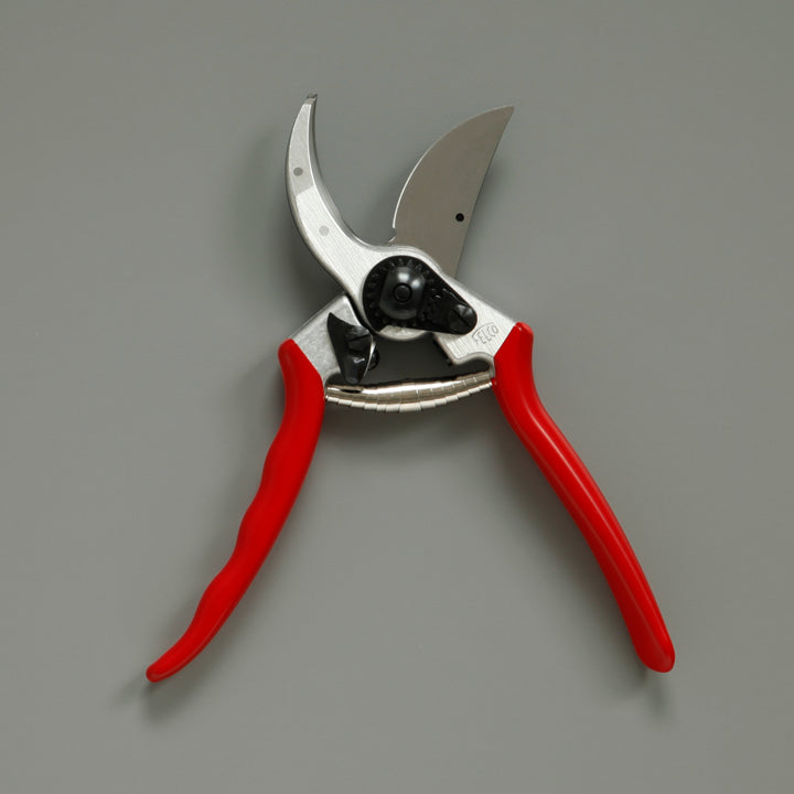 Pruning Shears