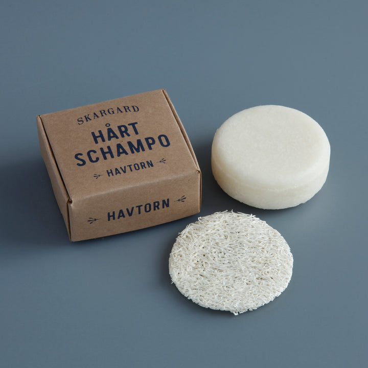 Solid Shampoo