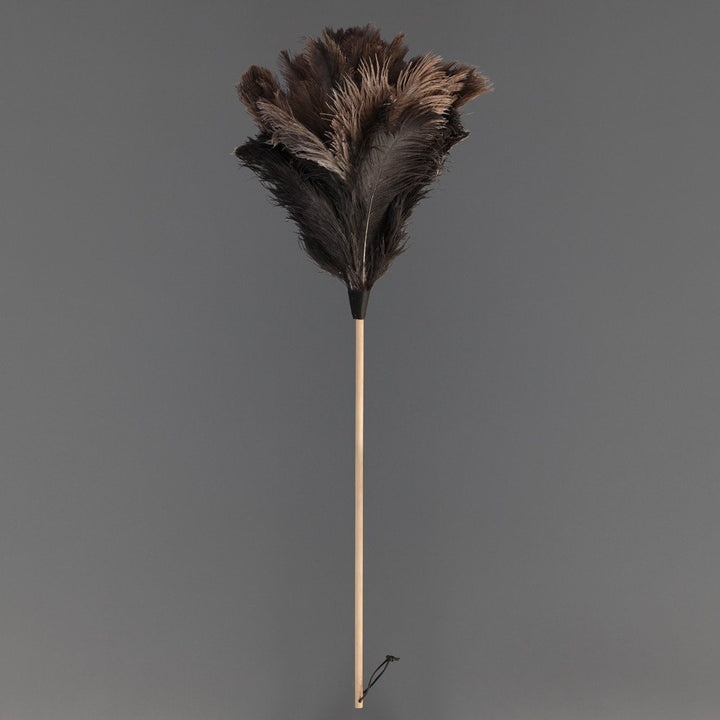 Feather Duster Large